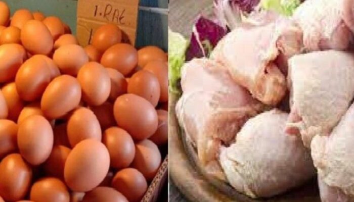 Harga Ayam dan Telur di Jabar Naik Seiring Program MBG Kembali Bergulir, DKPP Prediksi Komoditas Hortikultura Menyusul
