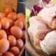 Harga Ayam dan Telur di Jabar Naik Seiring Program MBG Kembali Bergulir, DKPP Prediksi Komoditas Hortikultura Menyusul