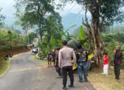Truk Bermuatan Material Bangunan Terguling di Tikungan Sumadra Garut, Diduga Rem Blong