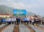 Siasat Garut Pangkas Impor Bawang Putih: 20 Hektar Lahan, Kolaborasi PTPN, dan Tantangan Swasembada