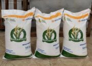 Siap-siap, Bantuan Pangan Beras Tahap II Cair 17 Agustus 2026: Setiap KPM Dapat 30 Kg