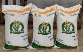 Siap-siap, Bantuan Pangan Beras Tahap II Cair 17 Agustus 2026: Setiap KPM Dapat 30 Kg