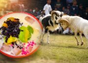 3 Budaya Khas Garut Diusulkan Jadi Warisan Budaya Tak Benda, Ada Es Goyobod hingga Tangkas Domba