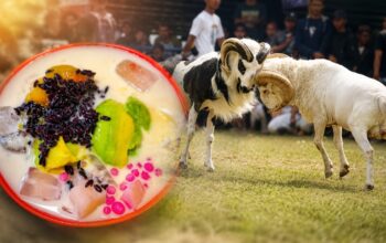 3 Budaya Khas Garut Diusulkan Jadi Warisan Budaya Tak Benda, Ada Es Goyobod hingga Tangkas Domba