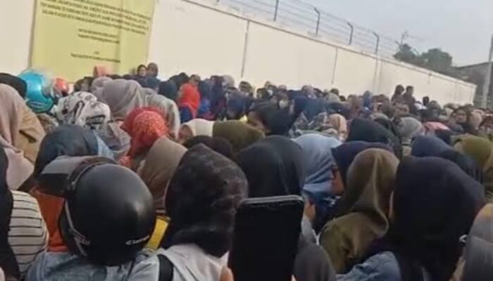 Aset PT Danbi Baru Rp800 Juta, Hak Pekerja Masih Menunggu Ujung Kepailitan