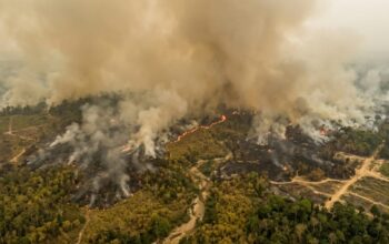 El Nino Menguat, BMKG Peringatkan Karhutla Mengintai Saat Puncak Kemarau