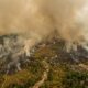 El Nino Menguat, BMKG Peringatkan Karhutla Mengintai Saat Puncak Kemarau