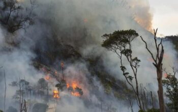 Karhutla Jawa Barat Tembus 90 Kejadian, Sumedang Paling Rawan