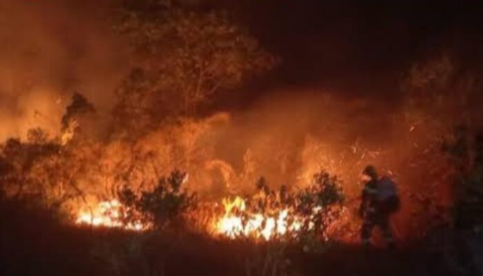 72 Orang Jadi Tersangka Karhutla, Polri Telusuri Dalang dan Korporasi di Balik Pembakaran