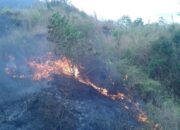 303 Karhutla Melanda Garut, Lima Kebakaran Hanguskan 13 Hektare Lahan Gunung Guntur
