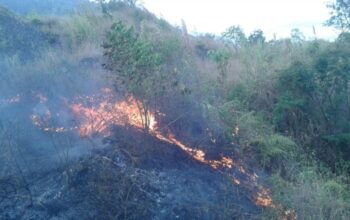 303 Karhutla Melanda Garut, Lima Kebakaran Hanguskan 13 Hektare Lahan Gunung Guntur