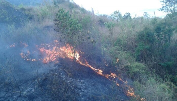 303 Karhutla Melanda Garut, Lima Kebakaran Hanguskan 13 Hektare Lahan Gunung Guntur