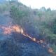 303 Karhutla Melanda Garut, Lima Kebakaran Hanguskan 13 Hektare Lahan Gunung Guntur