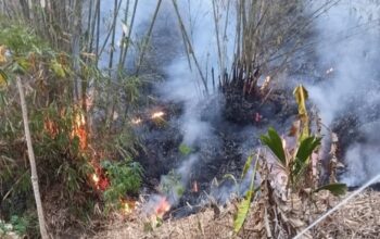 Kebakaran Lahan di Garut Melonjak 638 Persen, 155 Kasus Terjadi hingga Agustus