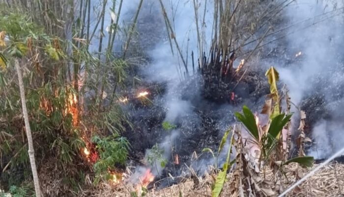 Kebakaran Lahan di Garut Melonjak 638 Persen, 155 Kasus Terjadi hingga Agustus