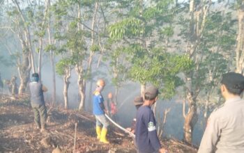 Kebakaran Lahan di Cikelet Garut Capai 5 Hektar, Polisi Imbau Warga Tak Sembarangan Bakar Sampah