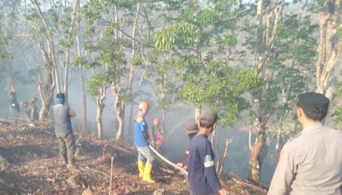 Kebakaran Lahan di Cikelet Garut Capai 5 Hektar, Polisi Imbau Warga Tak Sembarangan Bakar Sampah