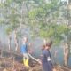 Kebakaran Lahan di Cikelet Garut Capai 5 Hektar, Polisi Imbau Warga Tak Sembarangan Bakar Sampah