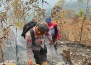 Lahan Perhutani di Garut Terbakar, Petugas Padamkan Api Secara Manual