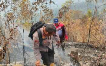 Lahan Perhutani di Garut Terbakar, Petugas Padamkan Api Secara Manual