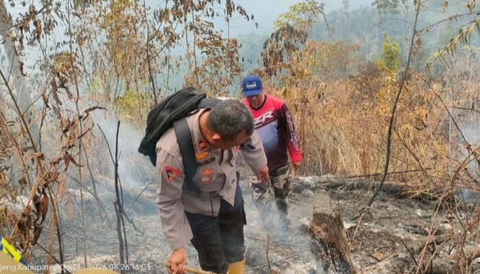 Lahan Perhutani di Garut Terbakar, Petugas Padamkan Api Secara Manual