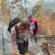 Lahan Perhutani di Garut Terbakar, Petugas Padamkan Api Secara Manual