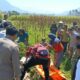 Lansia 88 Tahun Ditemukan Meninggal di Kebun Jagung Leles Garut, Polisi Pastikan Tanpa Kekerasan