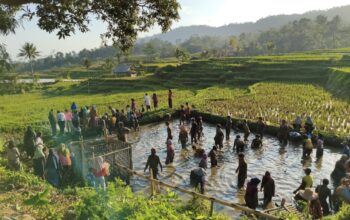 Geliat Pemuda dari Pelosok Garut, Karang Taruna Panggalih Hidupkan Tradisi dan Pemberdayaan