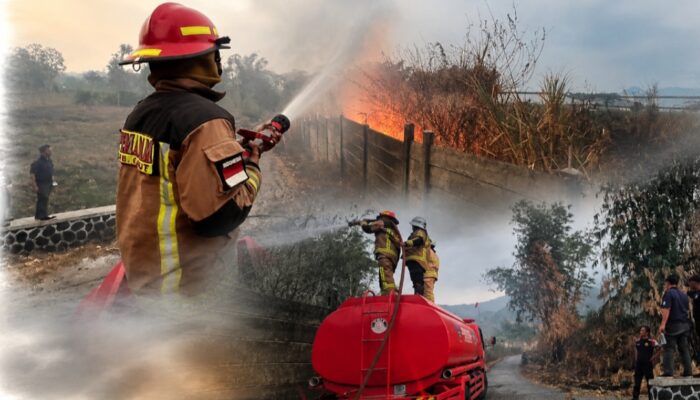 Tiga Hektare Lahan PT Changshin di Garut Terbakar, Api Diduga dari Sisa Pembakaran