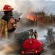 Tiga Hektare Lahan PT Changshin di Garut Terbakar, Api Diduga dari Sisa Pembakaran