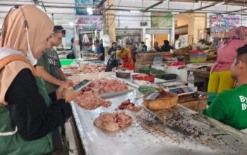 Mengurai Titik Kritis Daging Ayam Garut, dari Risiko Formalin hingga Sertifikasi Halal