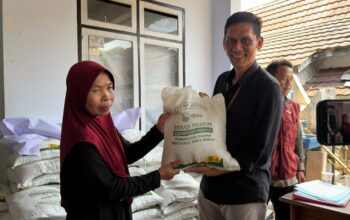 Jabar ‘Sisir’ Purwakarta: Bagi Beras 1,5 Ton dan Ayam DOC Demi Ketahanan Pangan