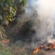 Lahan Perhutani di Kaki Gunung Cikuray Terbakar, Api Berhasil Dilokalisir