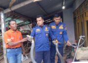 Dua King Kobra 3 Meter Resahkan Warga Limbangan Garut, Damkar Bergerak dalam 10 Menit