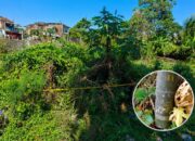 Geger Penemuan Mortir Artileri 105 MM di Tepi Sungai Cimanuk Garut