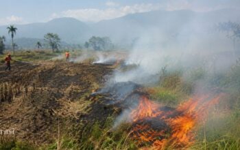 Lonjakan Ekstrem, Kebakaran Lahan di Garut Meroket 1.800 Persen