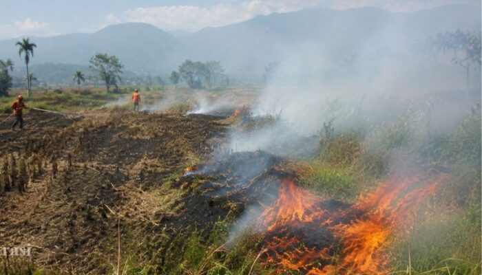 Lonjakan Ekstrem, Kebakaran Lahan di Garut Meroket 1.800 Persen
