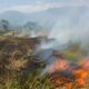 Lonjakan Ekstrem, Kebakaran Lahan di Garut Meroket 1.800 Persen