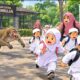 Monyet Lepas Teror Anak TK di Garut, IGTKI Minta Sekolah Hitung Risiko Tempat Manasik ​